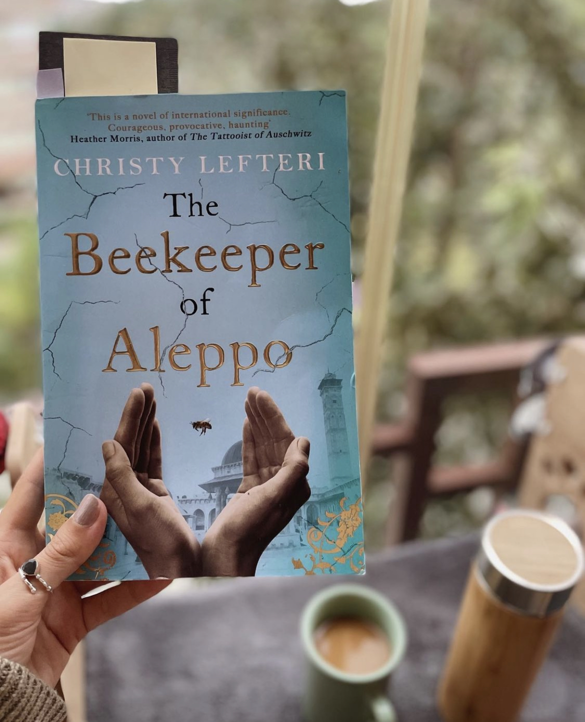 Finding Beauty ‘In Our Times of Greatest Love and Greatest Fear’: The Beekeeper of Aleppo by ...